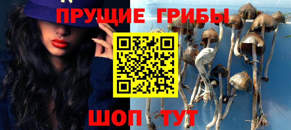 Псилоцибиновые грибы MAGIC MUSHROOMS  наркошоп  Гулькевичи  Псилоцибиновые грибы ЛСД  Вход с VPN 